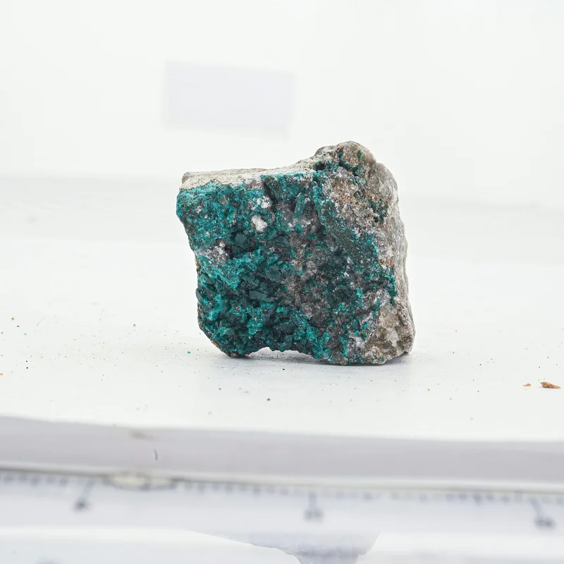 2026_05_25_868245