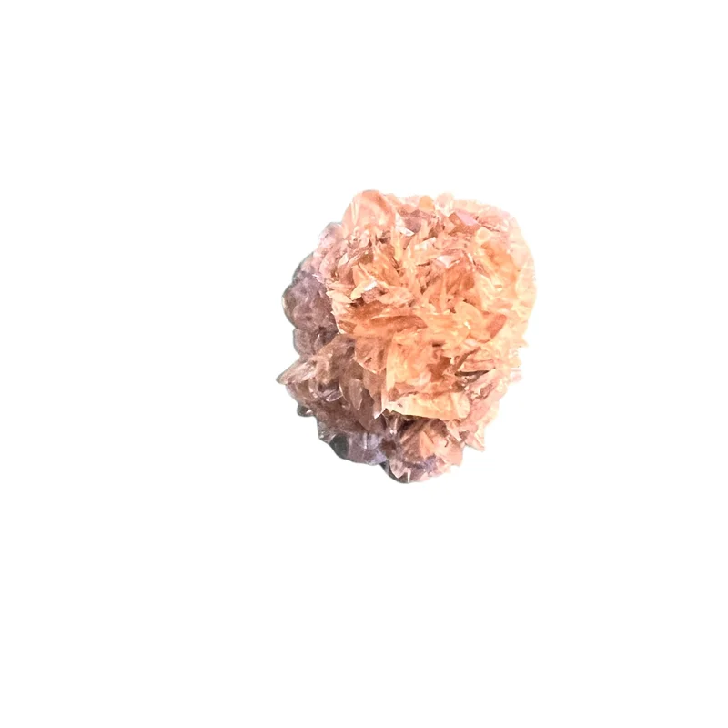 2026_05_25_874146