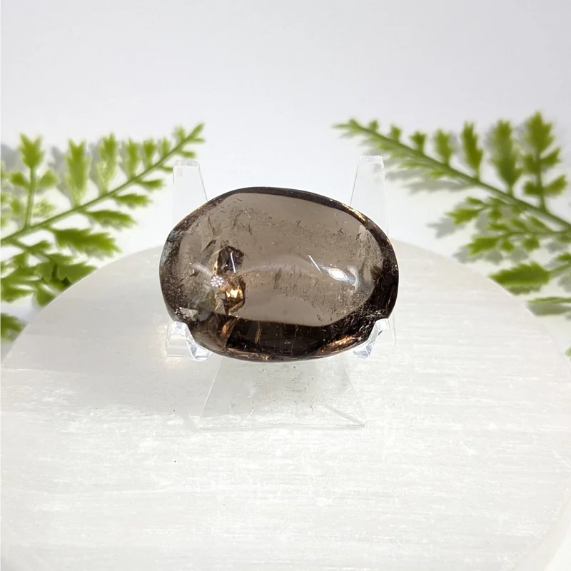 2026_05_26_926678
