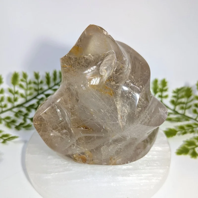 2026_05_26_926716