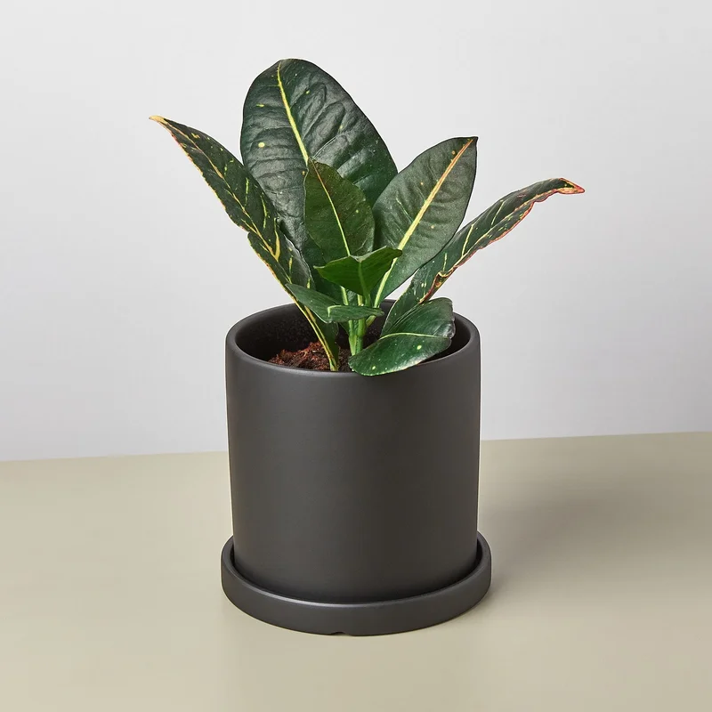 2026_05_27_1092756