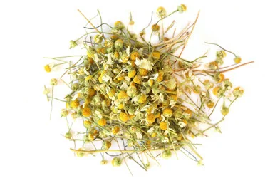 mountainroseherbs20260525082806781535