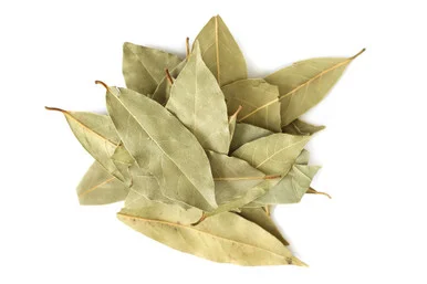 mountainroseherbs20260525173408840930