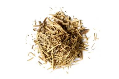 mountainroseherbs20260525173459841011