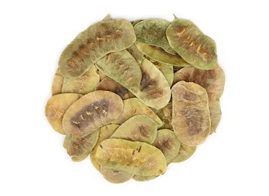 mountainroseherbs20260525173710841233