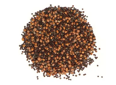 mountainroseherbs20260525174128841674